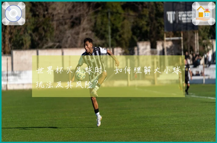 世界杯买足球时，如何理解大小球玩法及其风险？