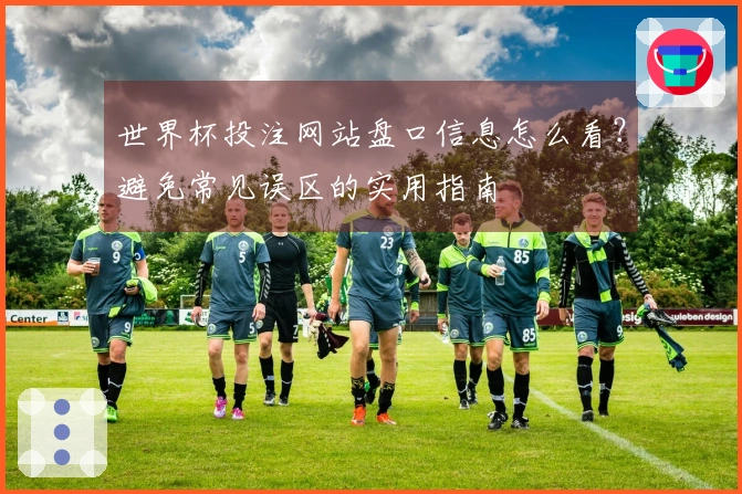 世界杯投注网站盘口信息怎么看？避免常见误区的实用指南