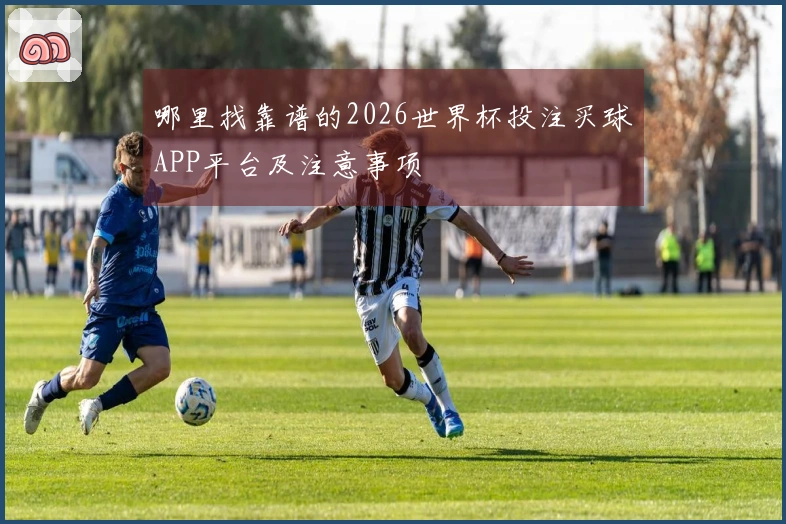 哪里找靠谱的2026世界杯投注买球APP平台及注意事项