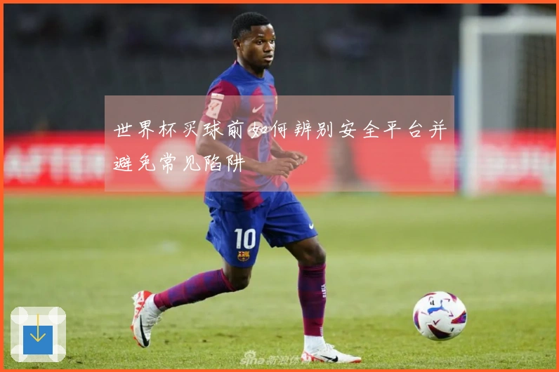 世界杯买球前如何辨别安全平台并避免常见陷阱