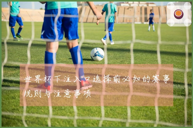世界杯下注入口选择前必知的赛事规则与注意事项