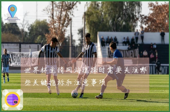 世界杯竞猜网站选择时需要关注哪些关键指标和注意事项