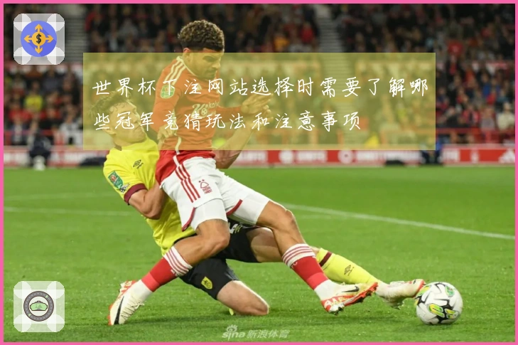 世界杯下注网站选择时需要了解哪些冠军竞猜玩法和注意事项