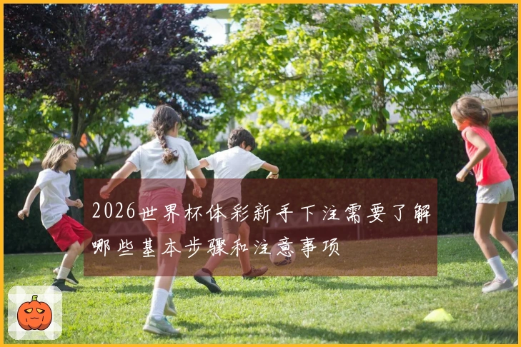 2026世界杯体彩新手下注需要了解哪些基本步骤和注意事项