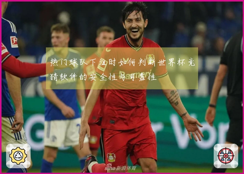 热门球队下注时如何判断世界杯竞猜软件的安全性与可靠性