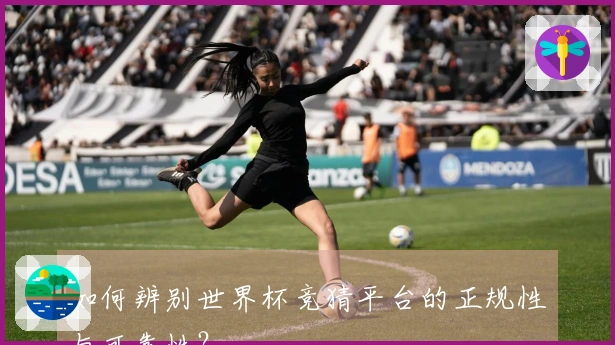 如何辨别世界杯竞猜平台的正规性与可靠性？