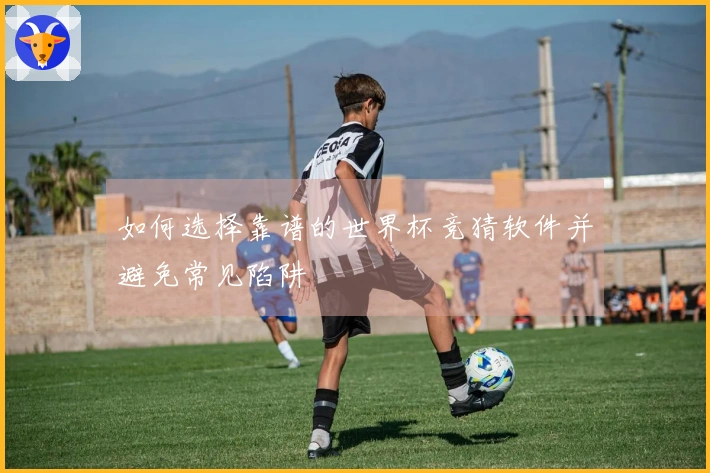 如何选择靠谱的世界杯竞猜软件并避免常见陷阱