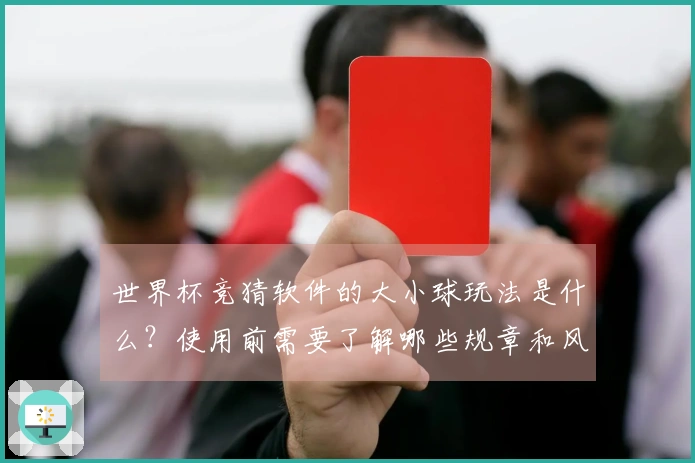 世界杯竞猜软件的大小球玩法是什么？使用前需要了解哪些规章和风险？