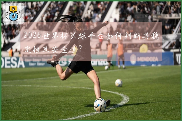 2026世界杯买球平台如何判断其稳定性及安全性？