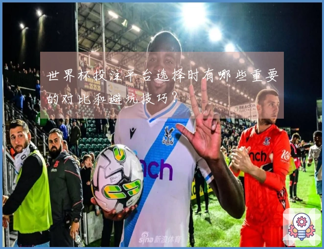 世界杯投注平台选择时有哪些重要的对比和避坑技巧？