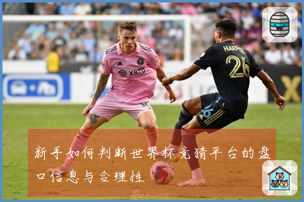 新手如何判断世界杯竞猜平台的盘口信息与合理性