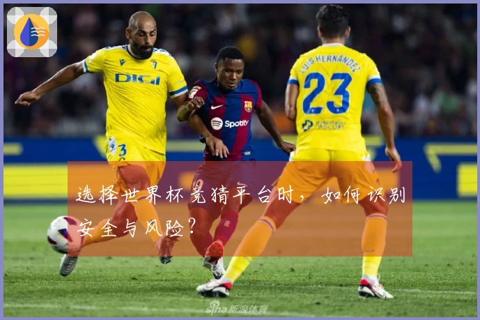 选择世界杯竞猜平台时，如何识别安全与风险？