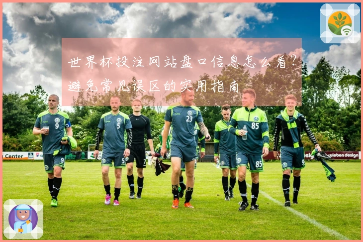 世界杯投注网站盘口信息怎么看？避免常见误区的实用指南