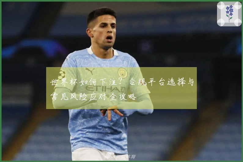 世界杯如何下注？合规平台选择与常见风险应对全攻略