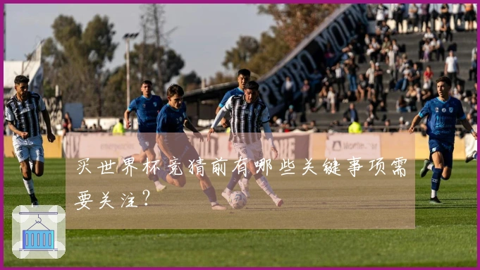 买世界杯竞猜前有哪些关键事项需要关注？