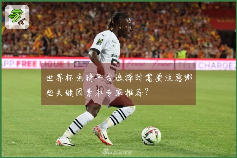 世界杯竞猜平台选择时需要注意哪些关键因素和专家推荐？