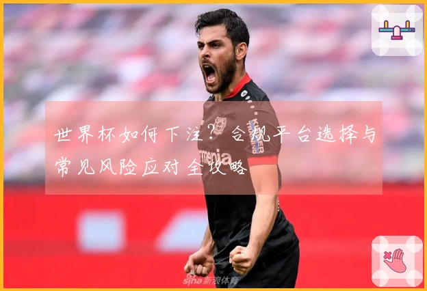 世界杯如何下注？合规平台选择与常见风险应对全攻略