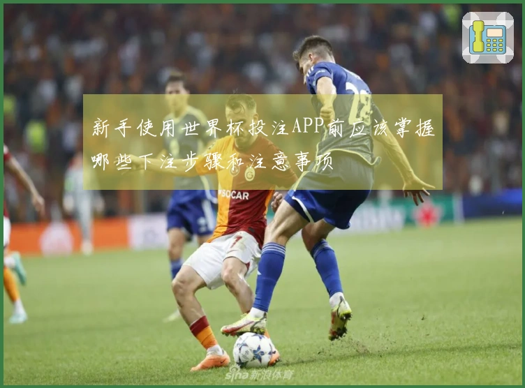 新手使用世界杯投注APP前应该掌握哪些下注步骤和注意事项