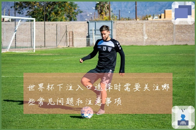 世界杯下注入口选择时需要关注哪些常见问题和注意事项