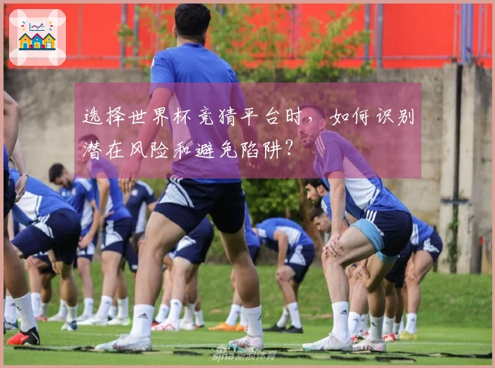 选择世界杯竞猜平台时，如何识别潜在风险和避免陷阱？